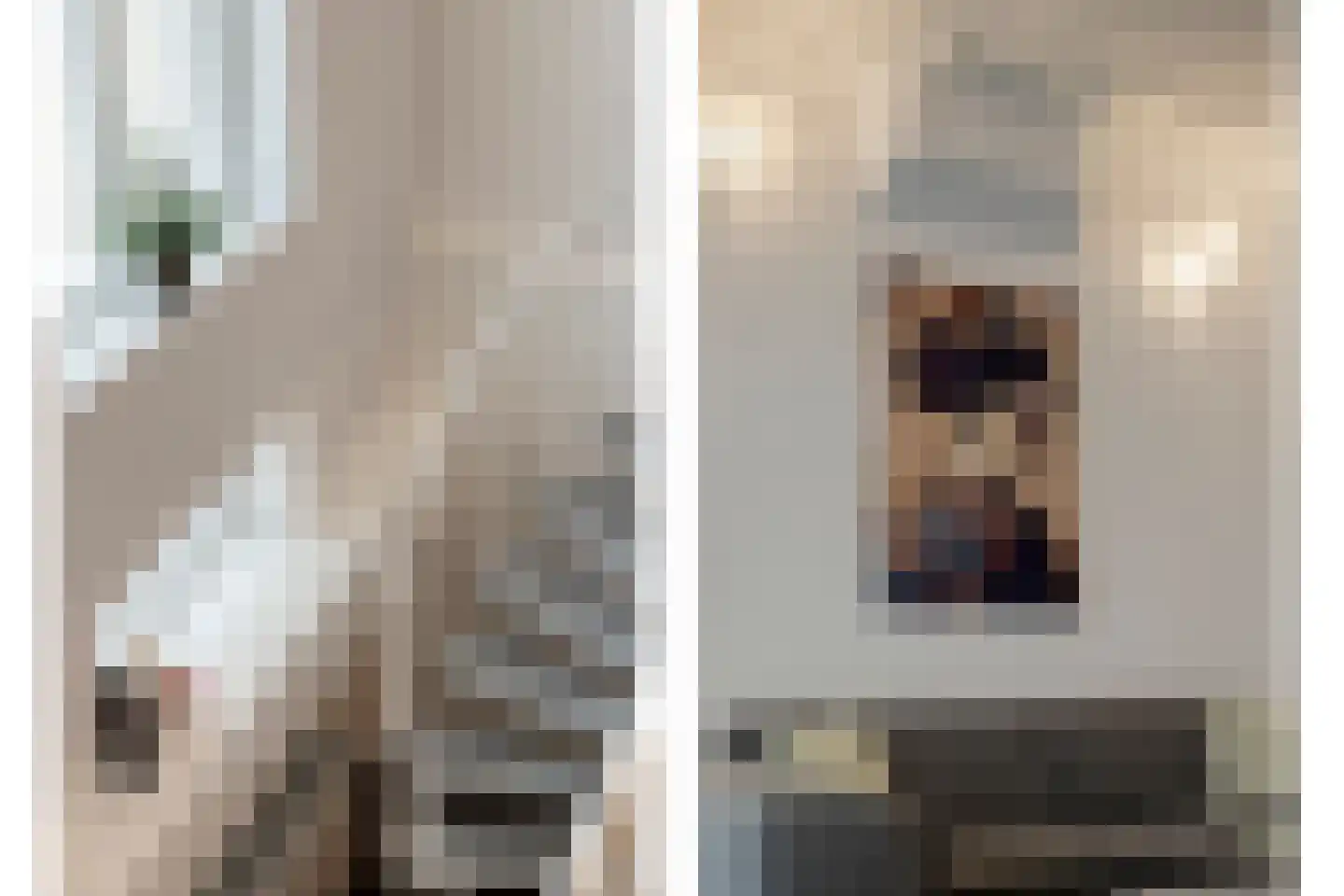 Kastanjelaan 4 Arnhem thumbnail 13