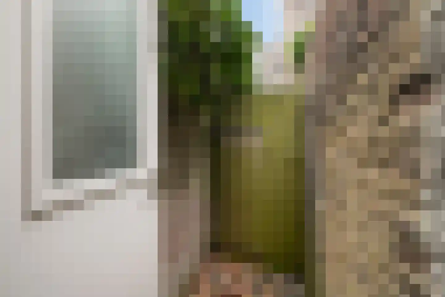 Kastanjelaan 4 Arnhem thumbnail 20