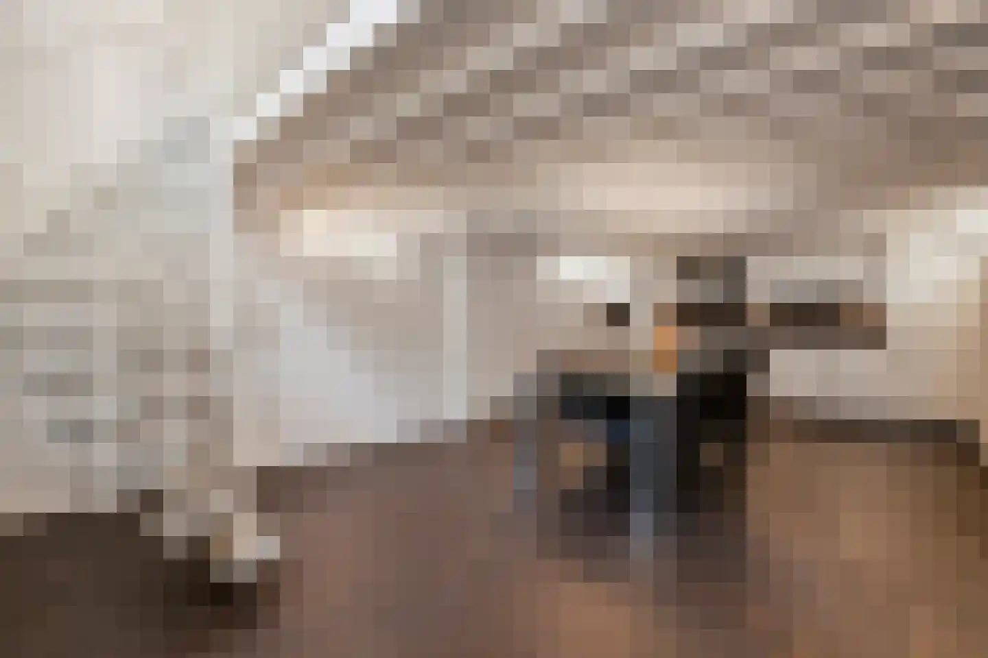 Kastanjelaan 4 Arnhem thumbnail 23