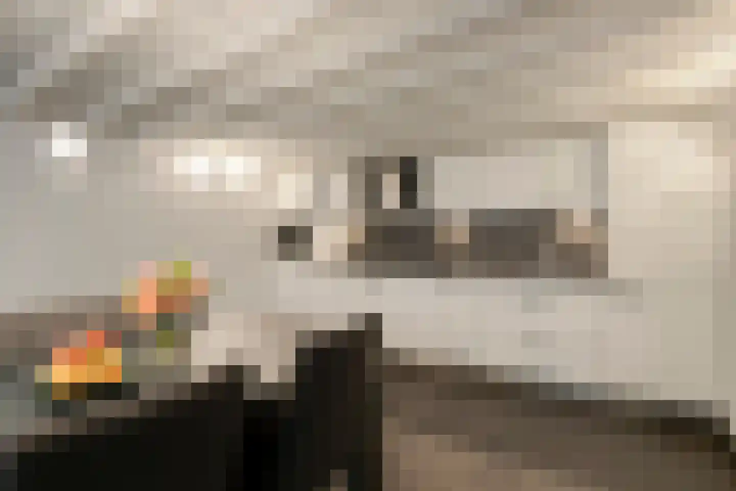 Kastanjelaan 4 Arnhem thumbnail 25
