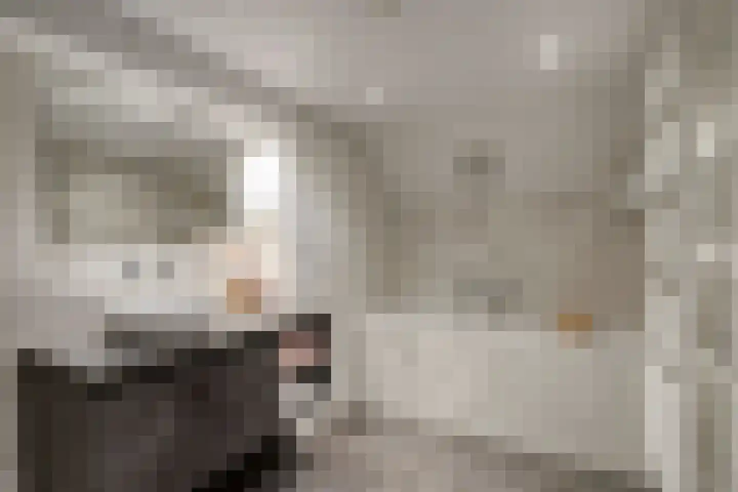Kastanjelaan 4 Arnhem thumbnail 29
