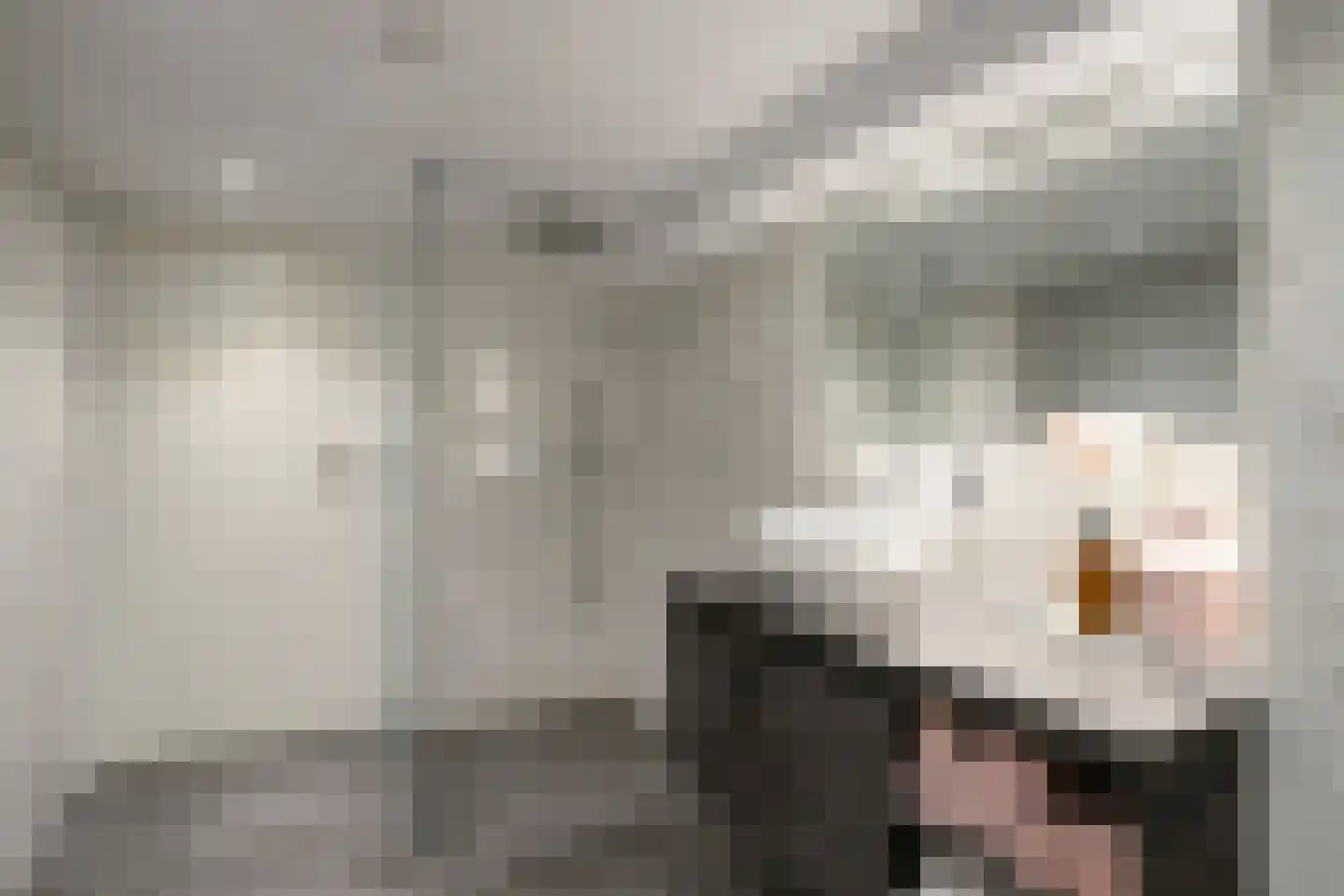 Kastanjelaan 4 Arnhem thumbnail 30