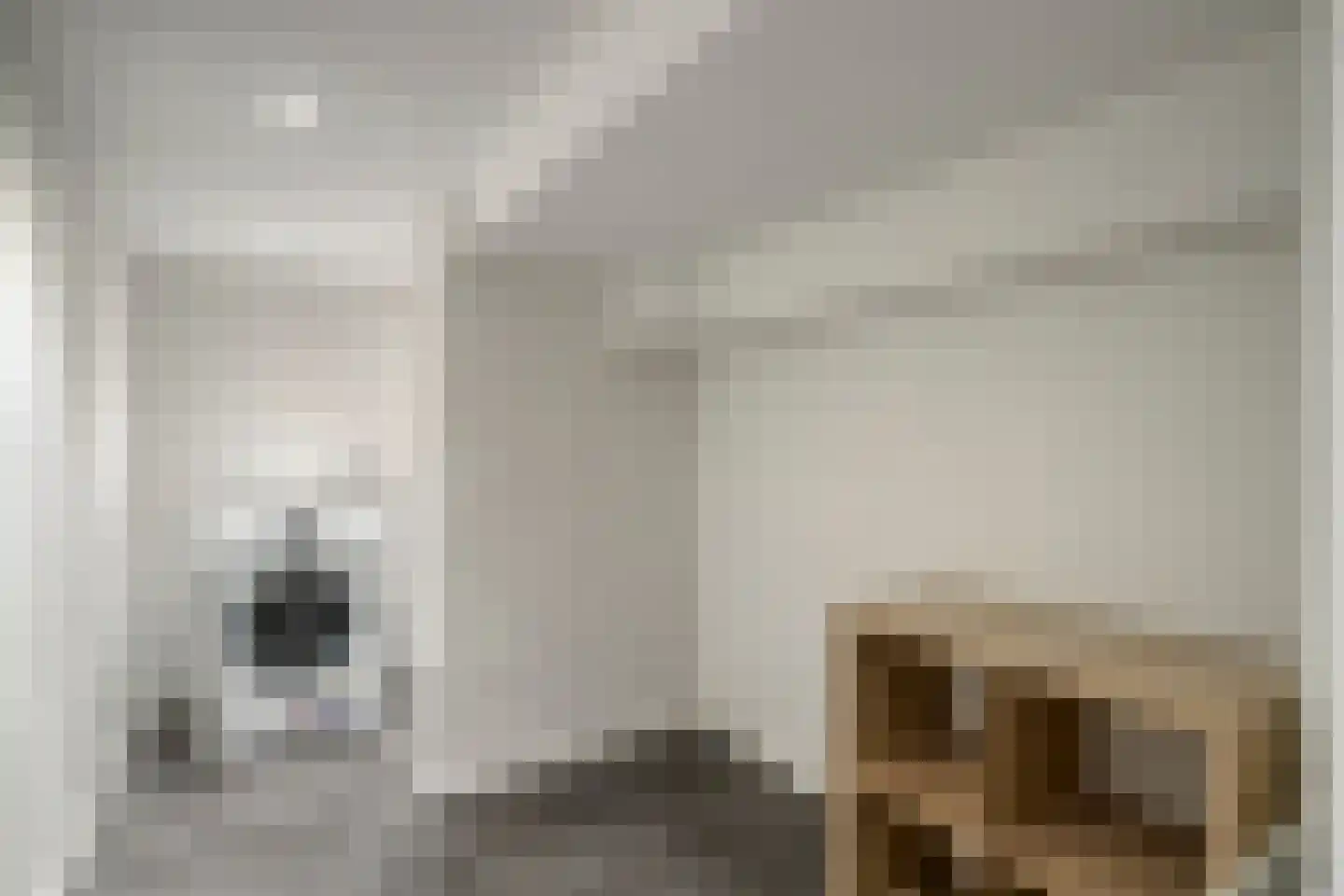 Kastanjelaan 4 Arnhem thumbnail 32