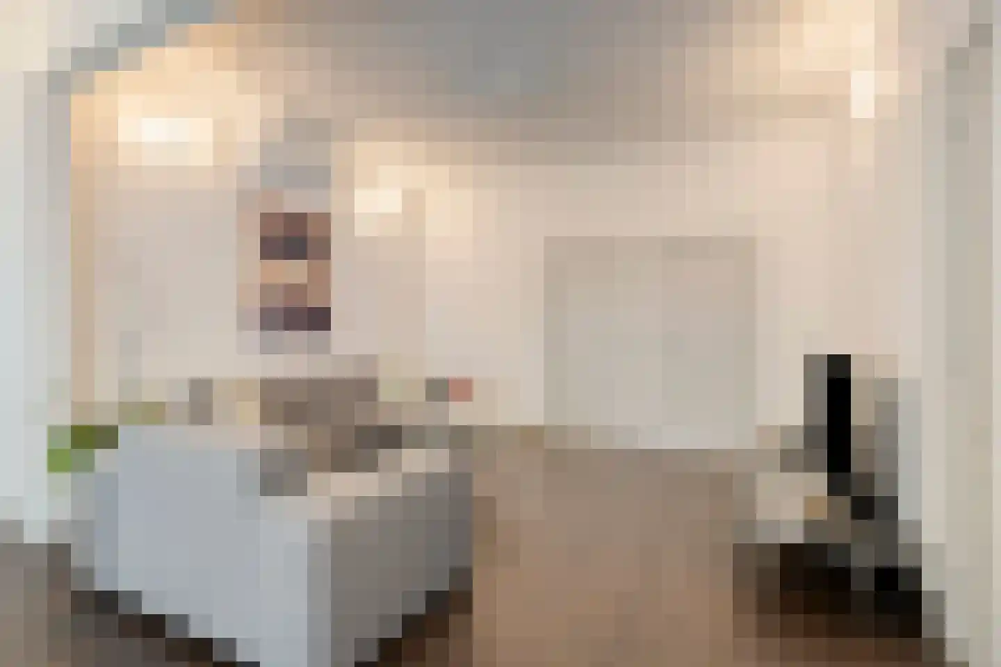 Kastanjelaan 4 Arnhem thumbnail 5