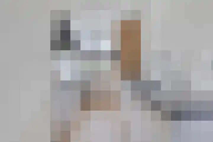 Kastanjelaan 4 Made thumbnail 12