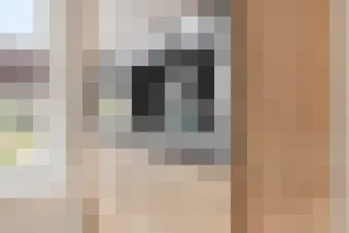 Kastanjelaan 4 Made thumbnail 19