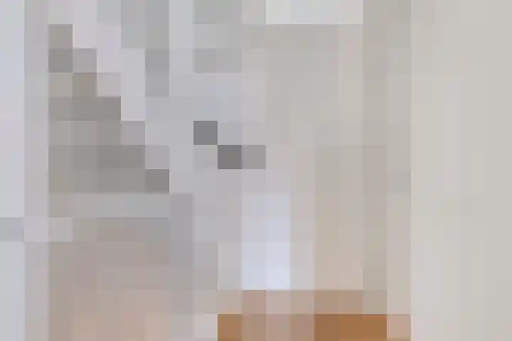 Kastanjelaan 4 Made thumbnail 21