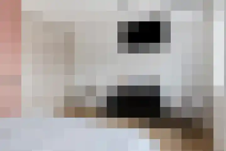 Kastanjelaan 4 Made thumbnail 25