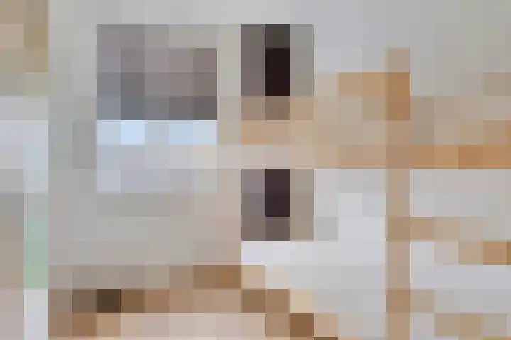 Kastanjelaan 4 Made thumbnail 28