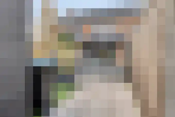 Kastanjelaan 4 Made thumbnail 35