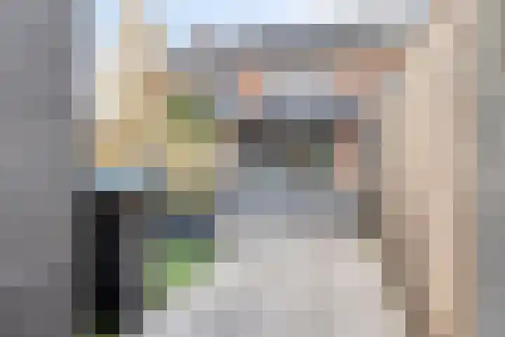 Kastanjelaan 4 Made thumbnail 36