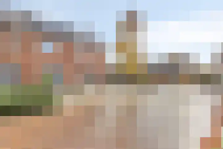 Kastanjelaan 4 Made thumbnail 4