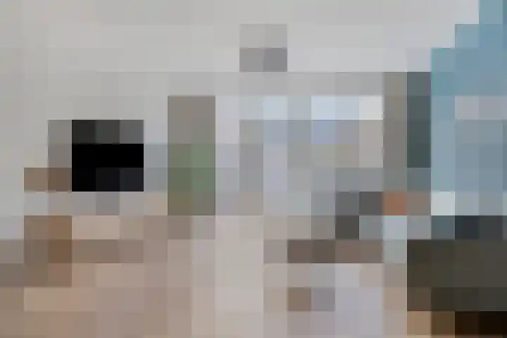 Kastanjelaan 4 Made thumbnail 6