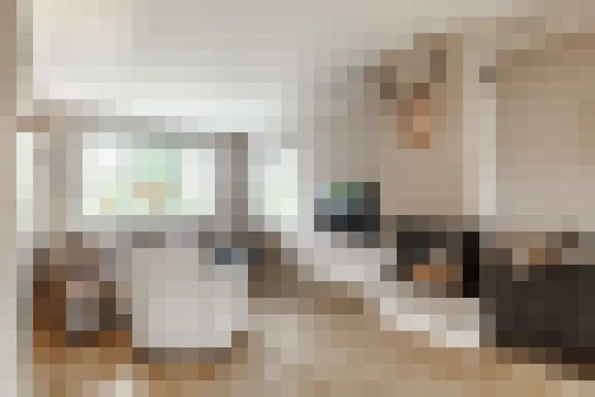 Kastanjelaan 4 Wierden thumbnail 13