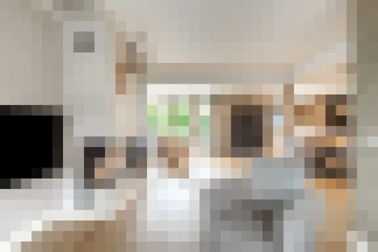 Kastanjelaan 4 Wierden thumbnail 14