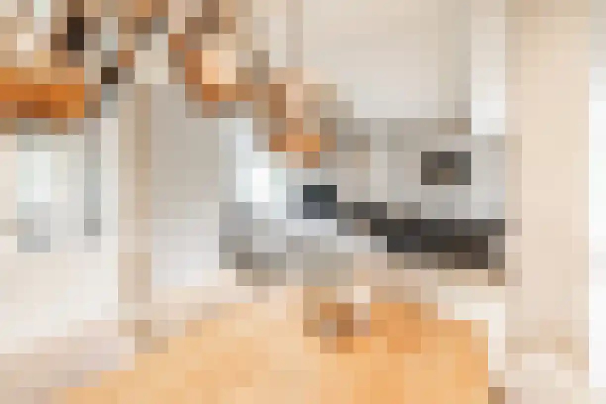 Kastanjelaan 4 Wierden thumbnail 15