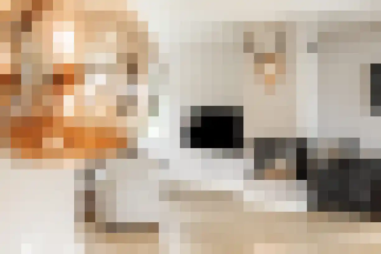 Kastanjelaan 4 Wierden thumbnail 16