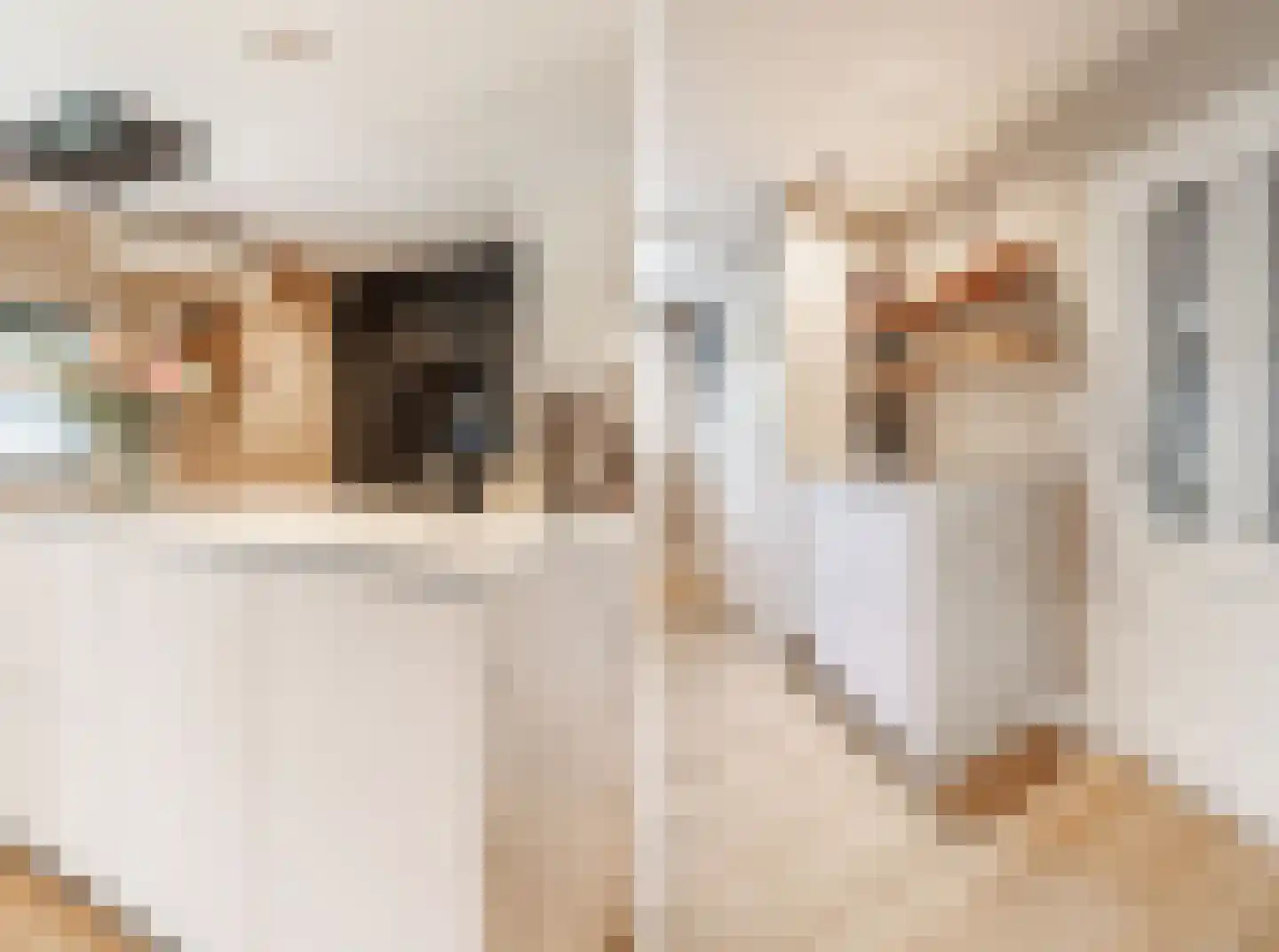 Kastanjelaan 4 Wierden thumbnail 21