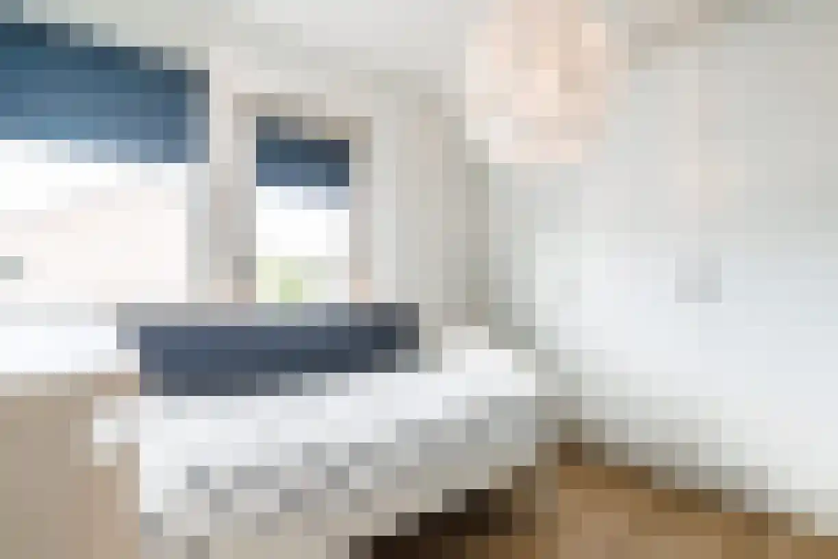 Kastanjelaan 4 Wierden thumbnail 34
