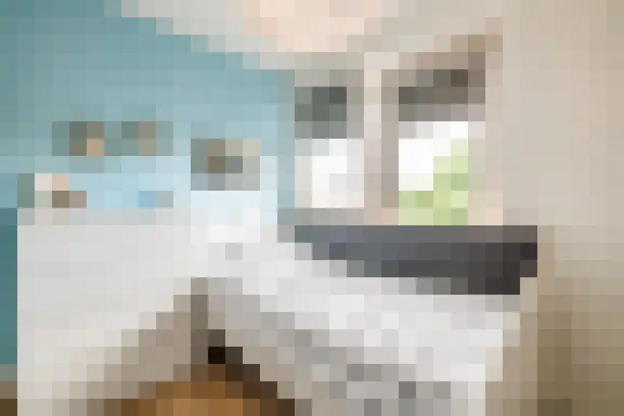 Kastanjelaan 4 Wierden thumbnail 35