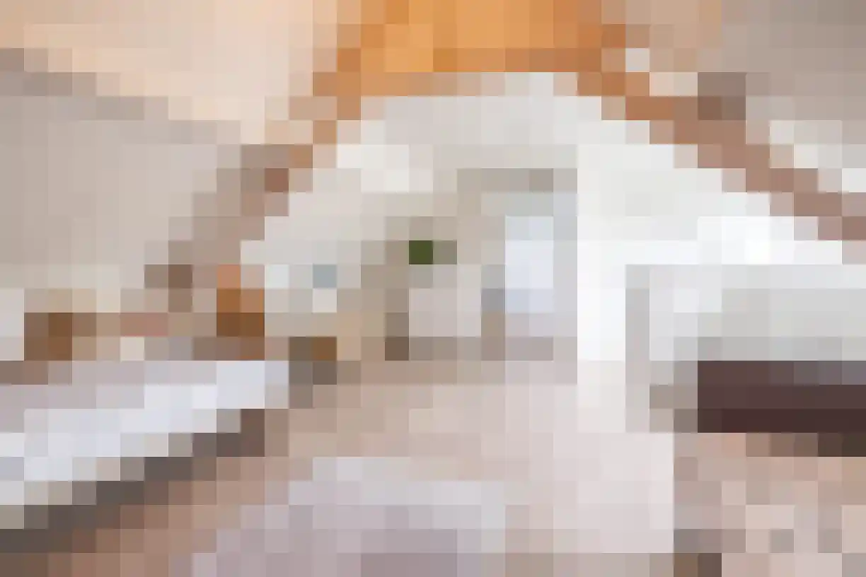 Kastanjelaan 4 Wierden thumbnail 42