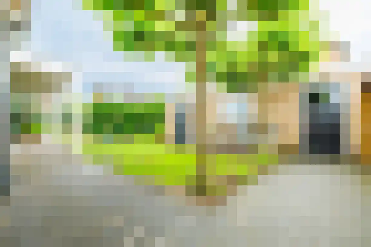 Kastanjelaan 4 Wierden thumbnail 45