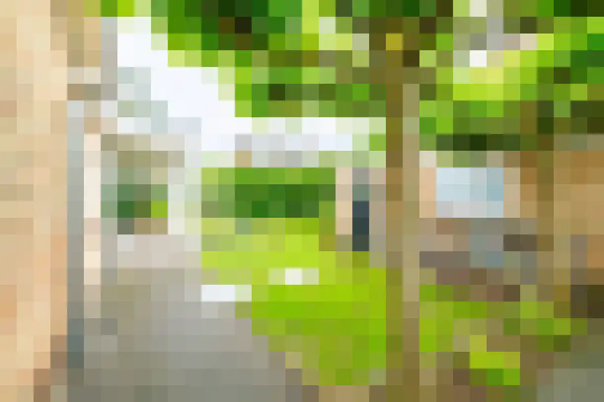 Kastanjelaan 4 Wierden thumbnail 46