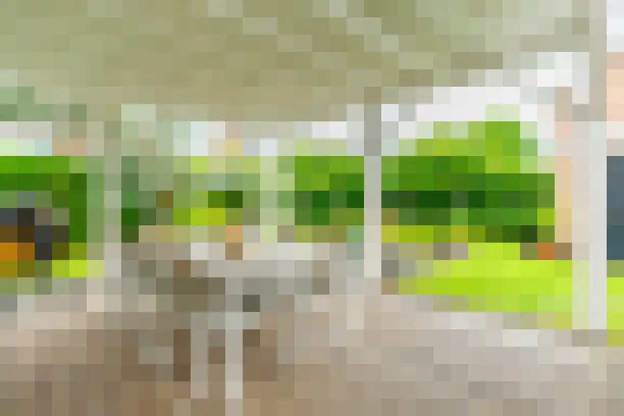Kastanjelaan 4 Wierden thumbnail 52