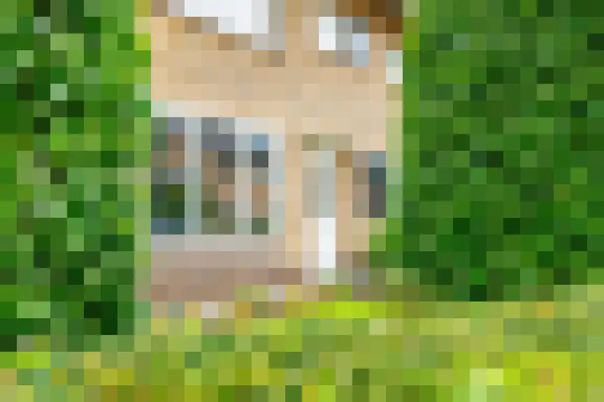 Kastanjelaan 4 Wierden thumbnail 55