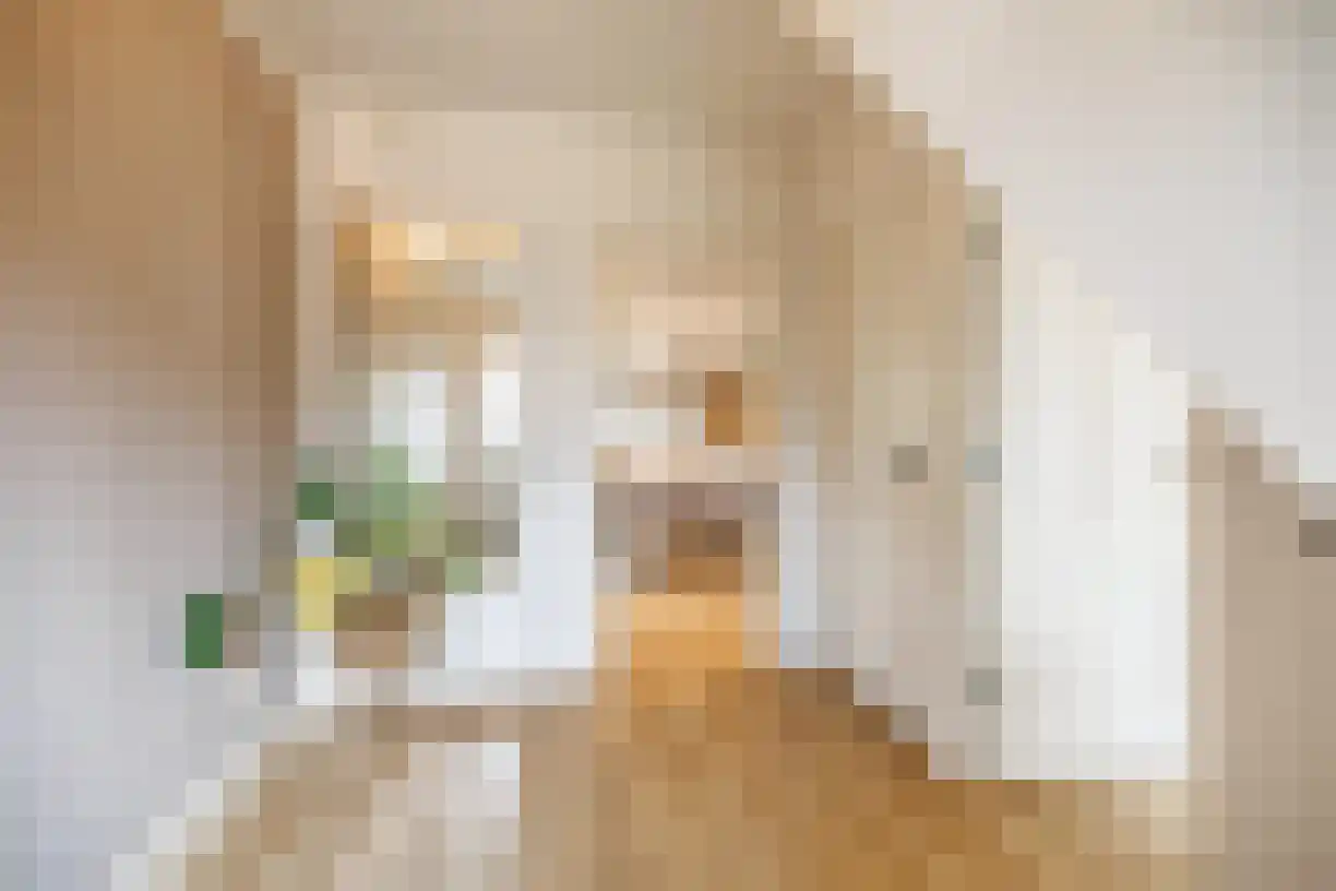 Kastanjelaan 4 Wierden thumbnail 9