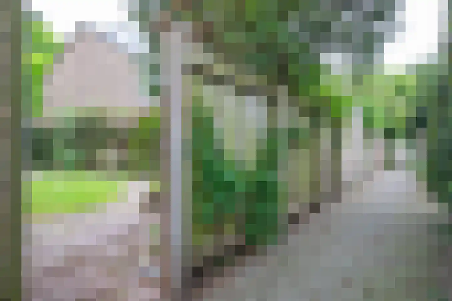 Kastanjelaan 41 Maarn thumbnail 34