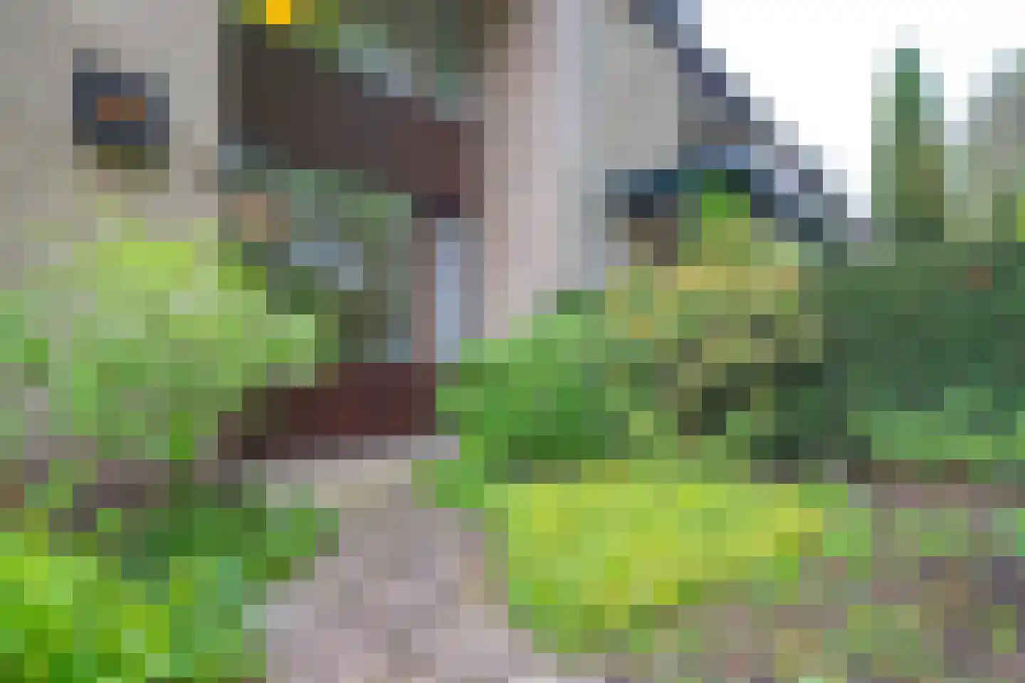 Kastanjelaan 41 Maarn thumbnail 6