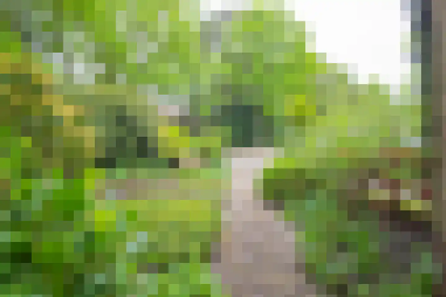 Kastanjelaan 41 Maarn thumbnail 7