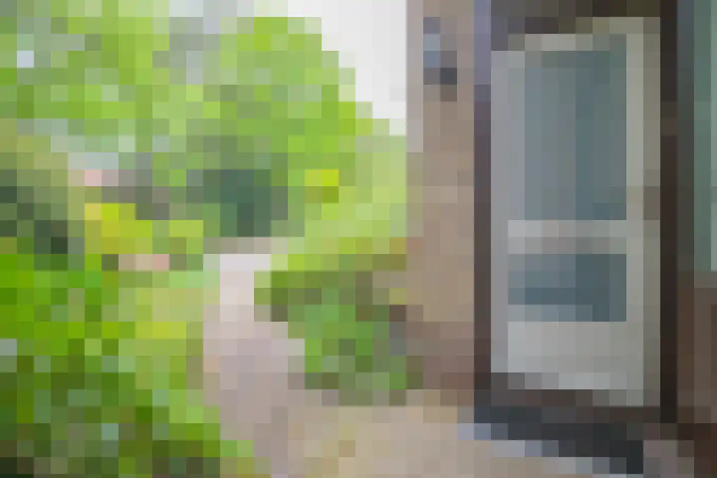 Kastanjelaan 41 Maarn thumbnail 8