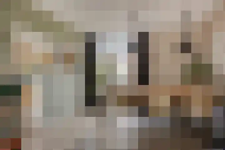 Kastanjelaan 41 Rozenburg thumbnail 11