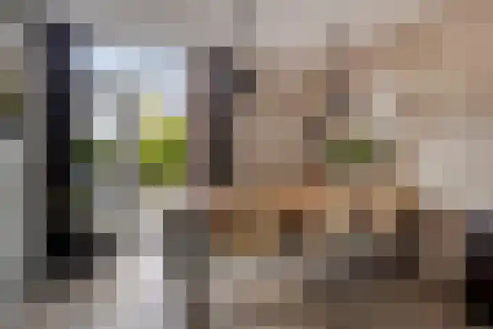 Kastanjelaan 41 Rozenburg thumbnail 12