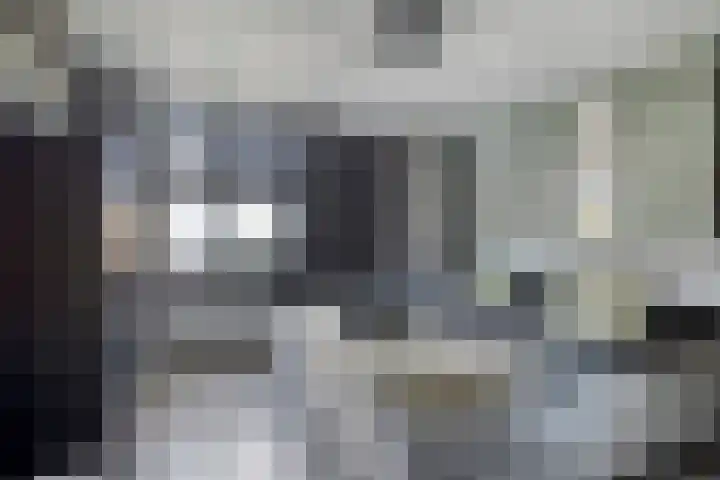 Kastanjelaan 41 Rozenburg thumbnail 17