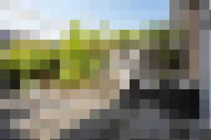 Kastanjelaan 41 Rozenburg thumbnail 28