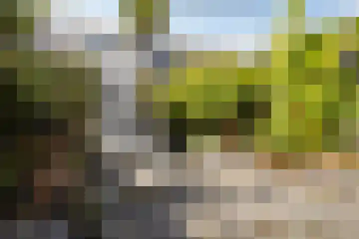 Kastanjelaan 41 Rozenburg thumbnail 29