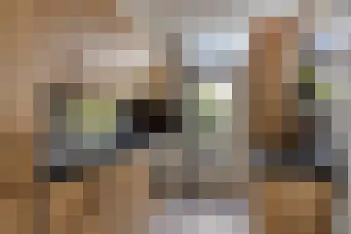 Kastanjelaan 41 Rozenburg thumbnail 4