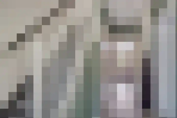 Kastanjelaan 41 Rozenburg thumbnail 8