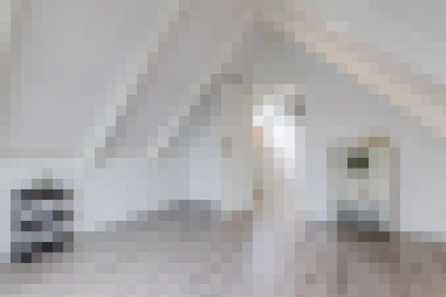 Kastanjelaan 42 Harmelen thumbnail 34