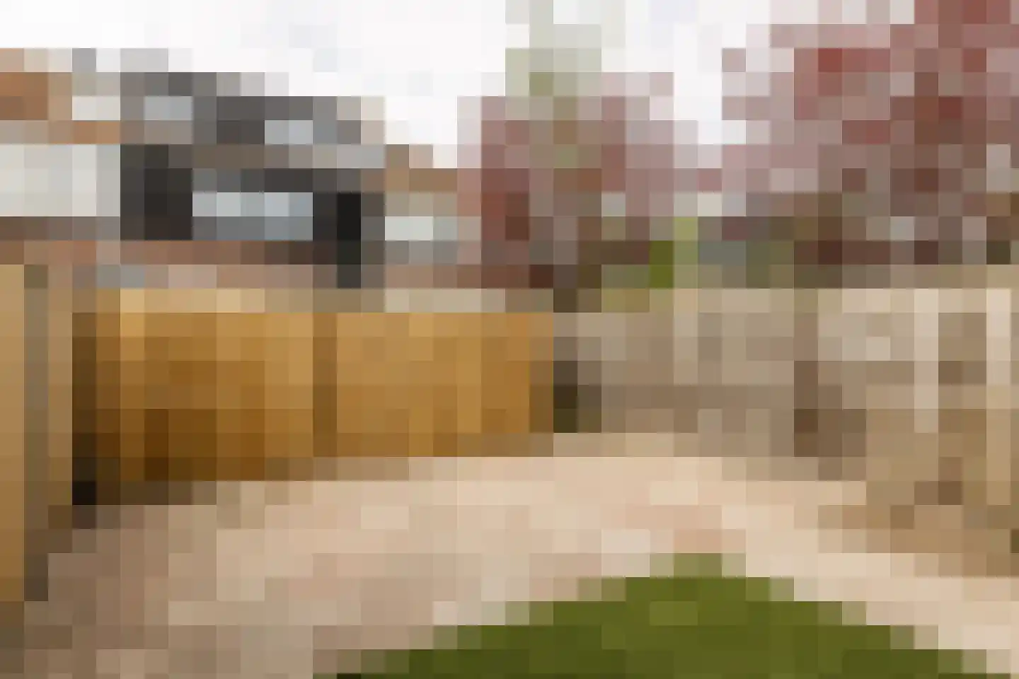 Kastanjelaan 43 A Zwanenburg