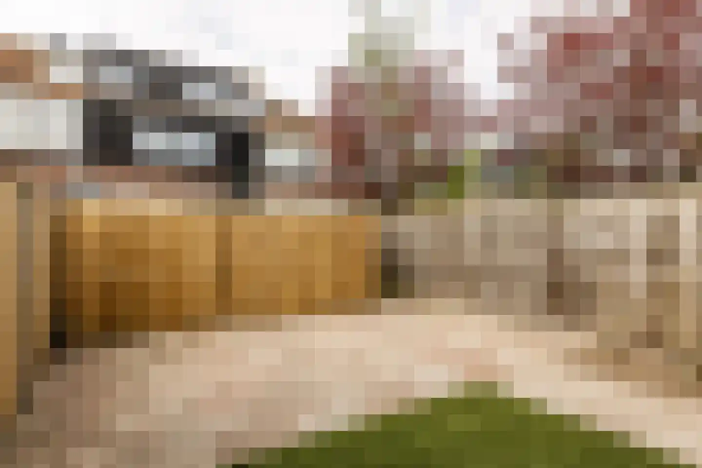 Kastanjelaan 43 A Zwanenburg thumbnail 36