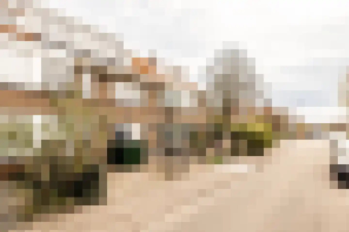 Kastanjelaan 43 A Zwanenburg thumbnail 37