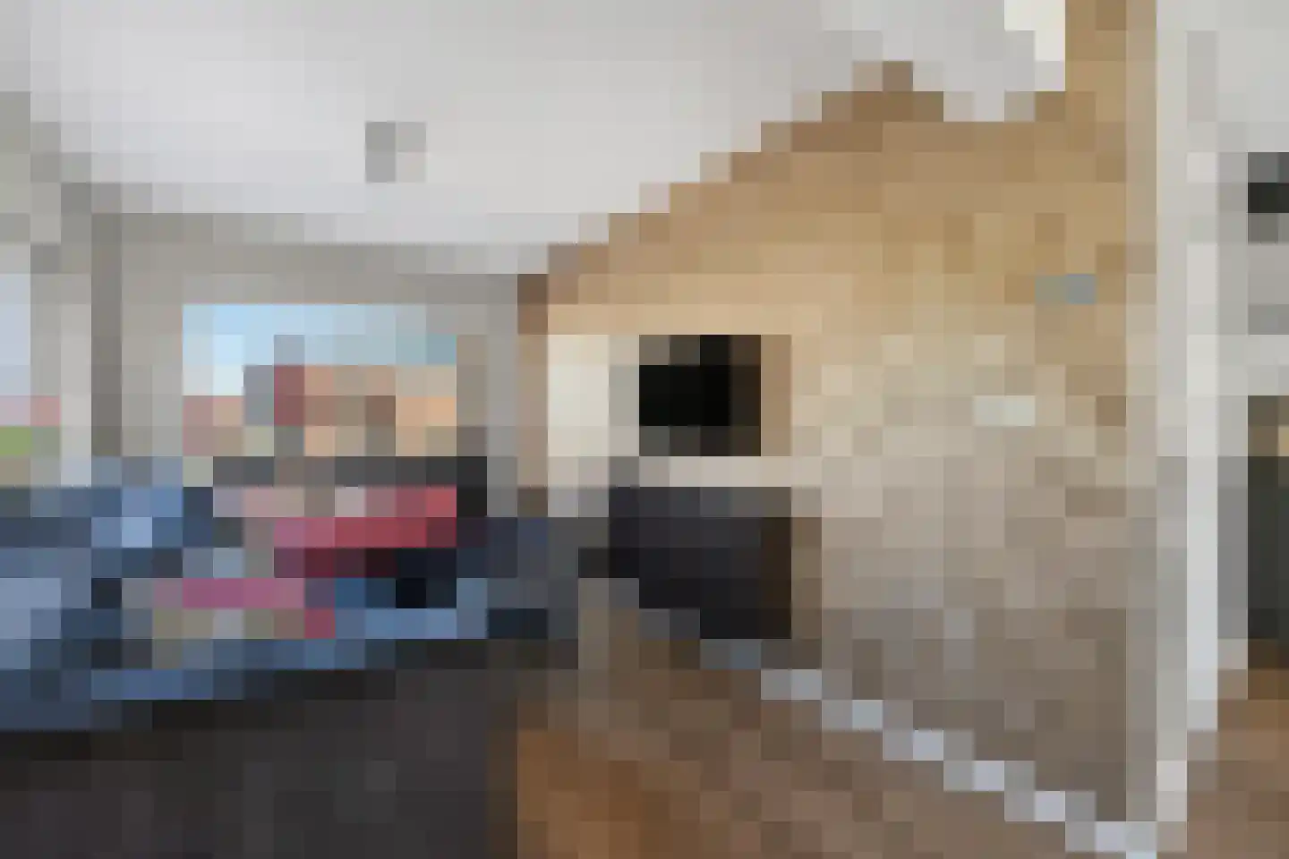 Kastanjelaan 43 Emmer-Compascuum thumbnail 12