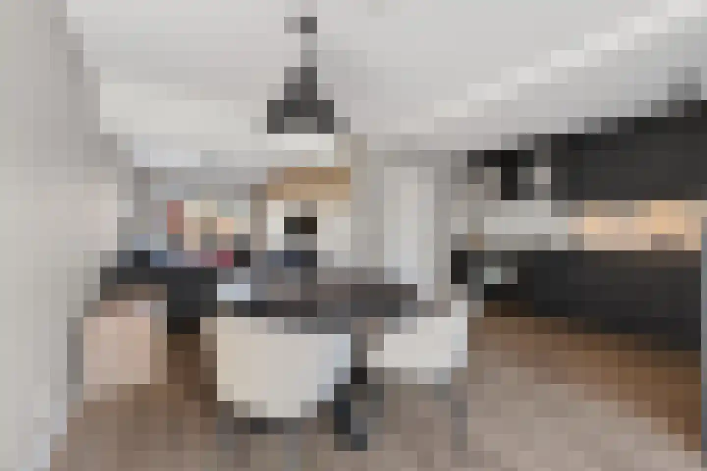 Kastanjelaan 43 Emmer-Compascuum thumbnail 9