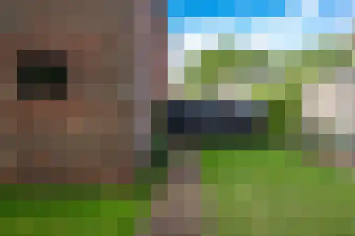 Kastanjelaan 43 Glimmen thumbnail 10