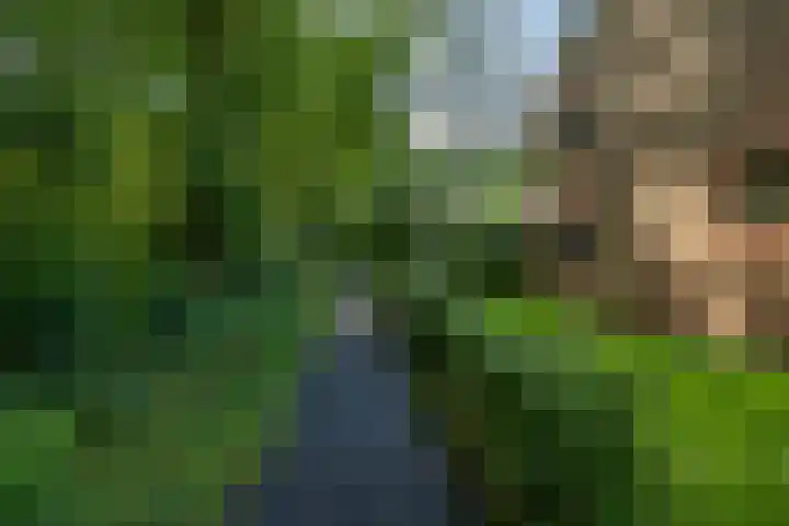 Kastanjelaan 43 Glimmen thumbnail 11