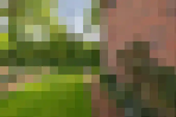 Kastanjelaan 43 Glimmen thumbnail 12